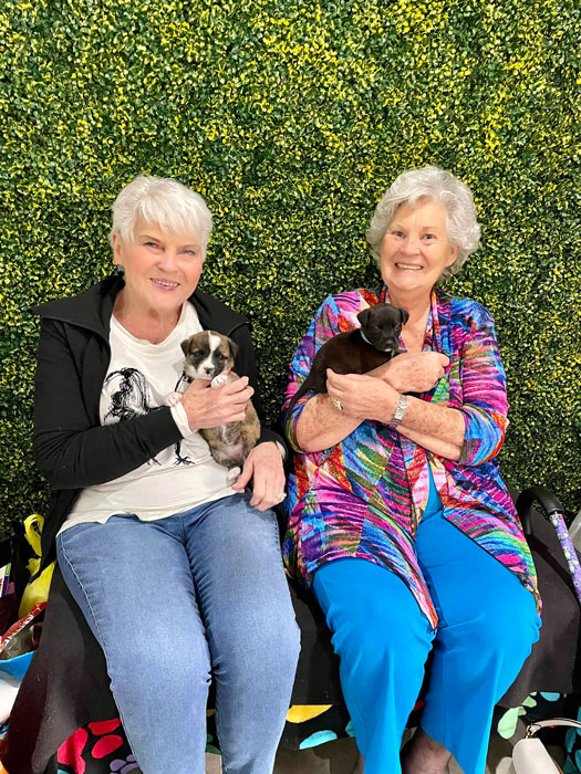 Two elderly women happily sitting together, each holding a small puppy, against a vibrant green hedge backdrop.