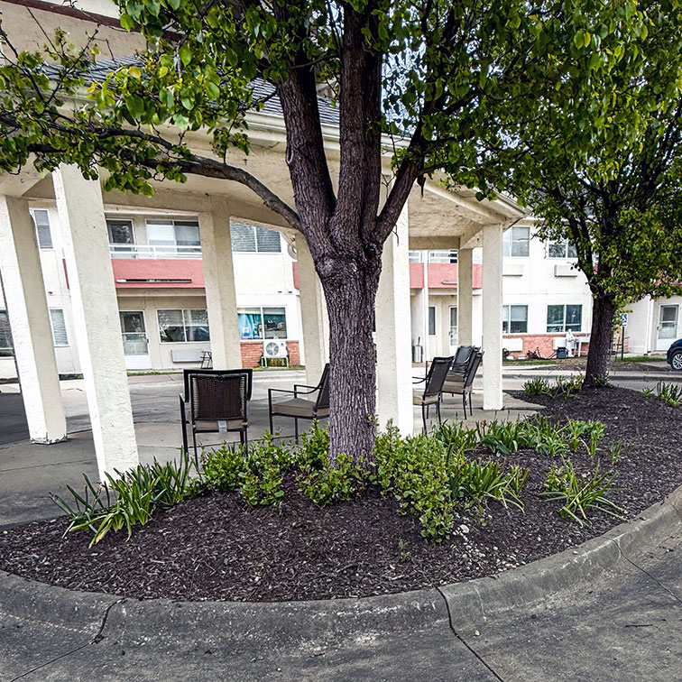 Mulch beds surrounding trees at Waden Place Senior Living, featuring newly added foliage.