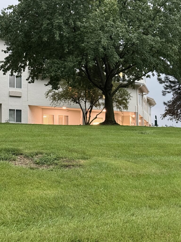 Discover how Walden Place creates positive first impressions through exterior lighting upgrades, landscaping oversight, and daily maintenance.